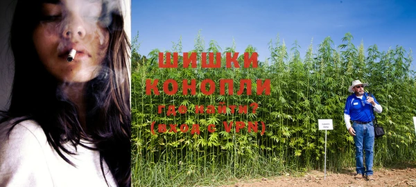 дурь Кинешма