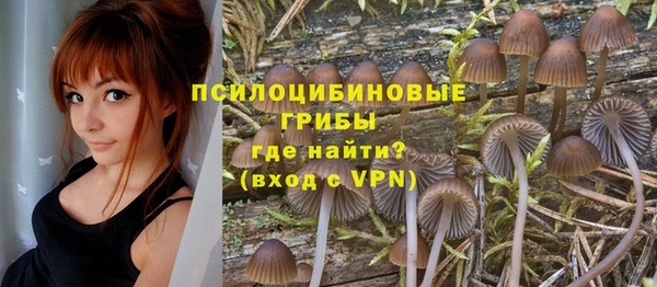 дурь Кинешма