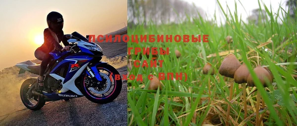 PSILOCYBIN Янаул