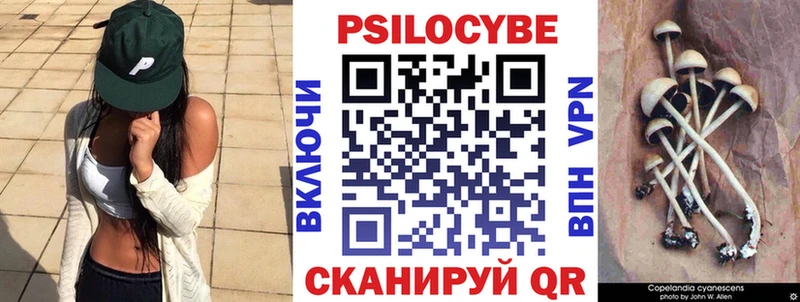 Псилоцибиновые грибы прущие грибы  Купить  Емва 